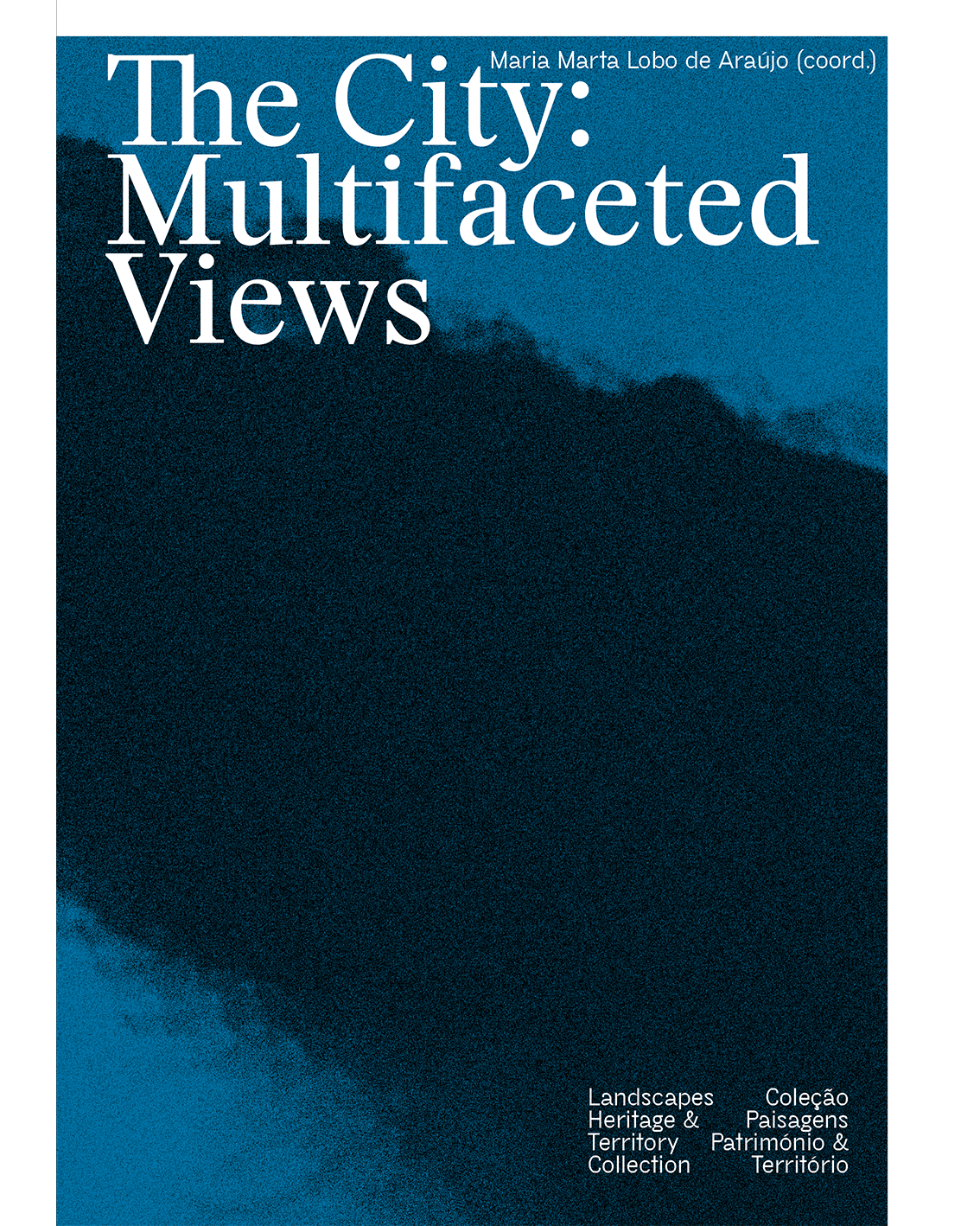2019 - The City: Multifaceted Views image