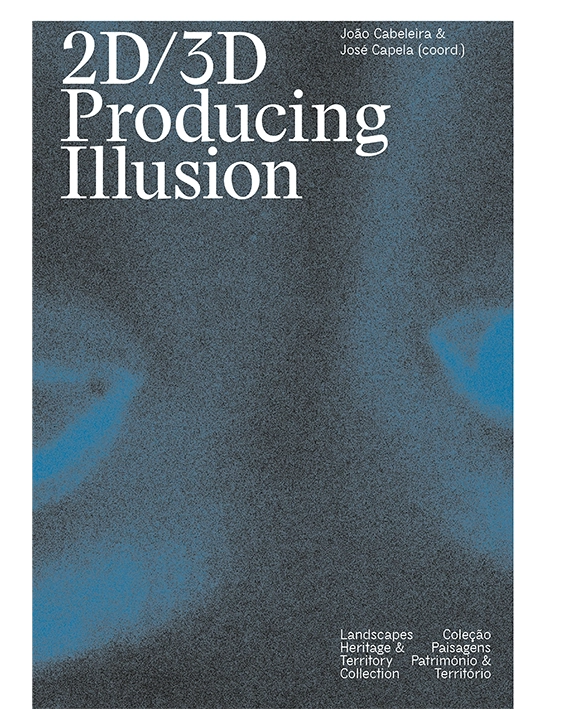 2023 - 2D/3D . Producing Illusion image
