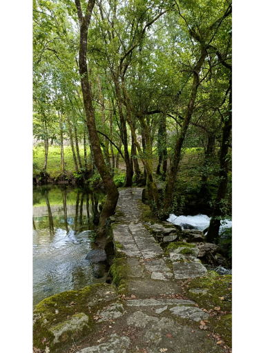 2023 - GREEN GAP – Promoção de Infraestruturas Verdes locais para a Restauração da Biodiversidade, Renaturalização e Desenho Paisagístico Resiliente às Alterações Climáticas  image