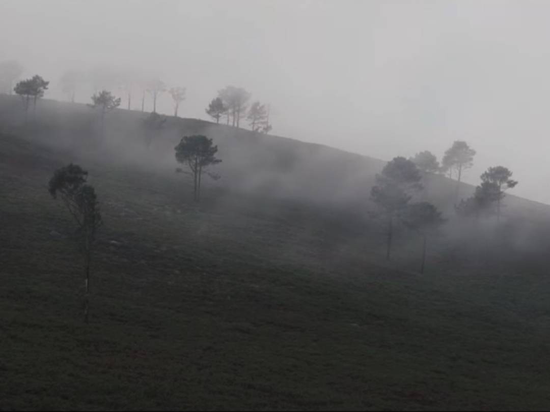Documentary "A festa do emigrante" | Direction: Sara Traba and Scientific direction and production: Rebeca Blanco-Rotea  image